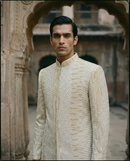Virasat Sherwani