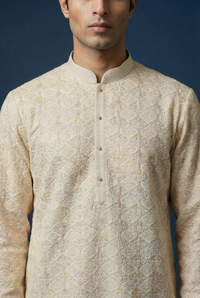 Lucknowi Chikankari Georgette Kurta Set